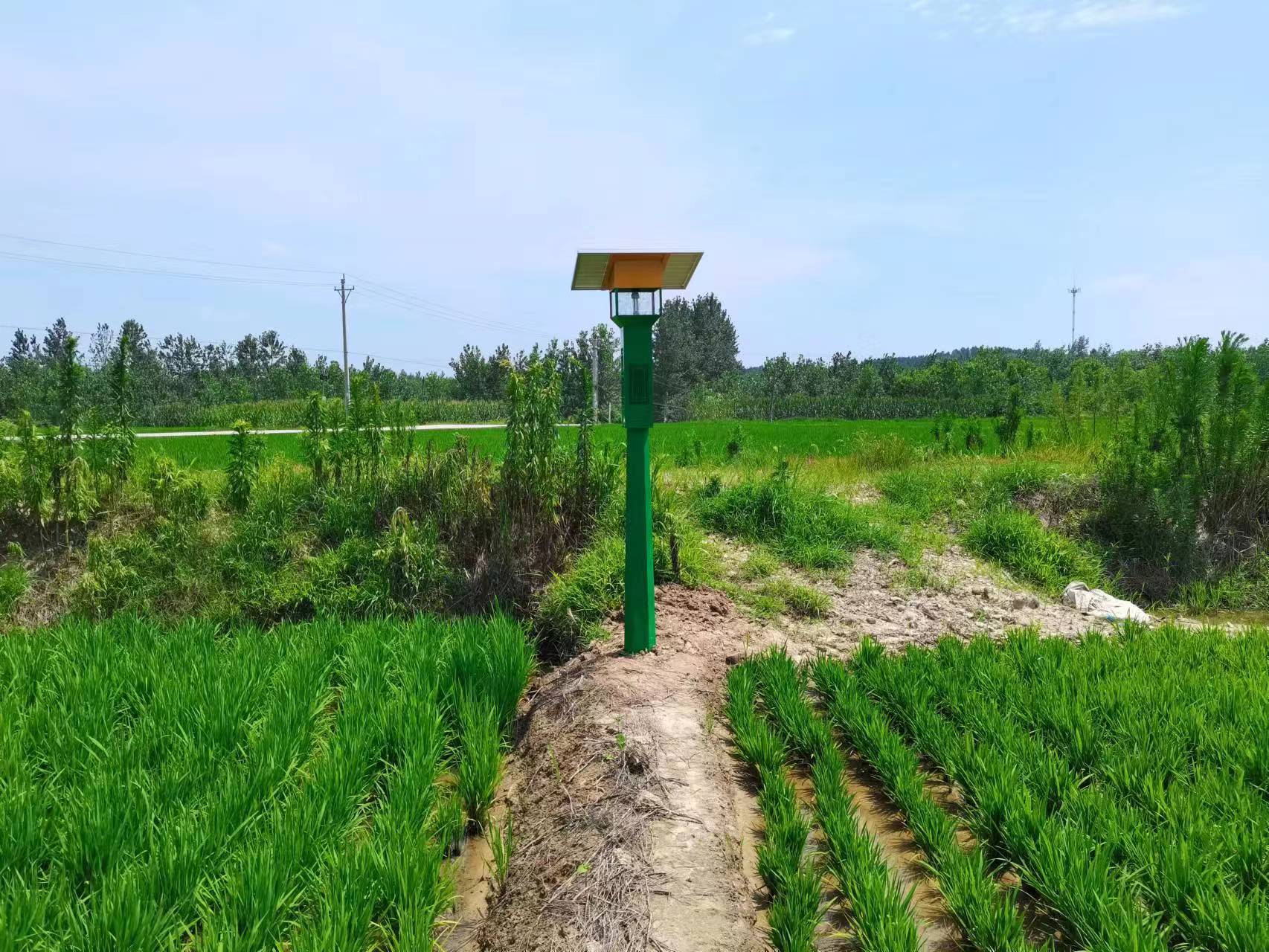 風(fēng)吸式太陽(yáng)能捕蟲器型號(hào)FXZN08 風(fēng)吸式太陽(yáng)能捕蟲器型號(hào)FXZN08