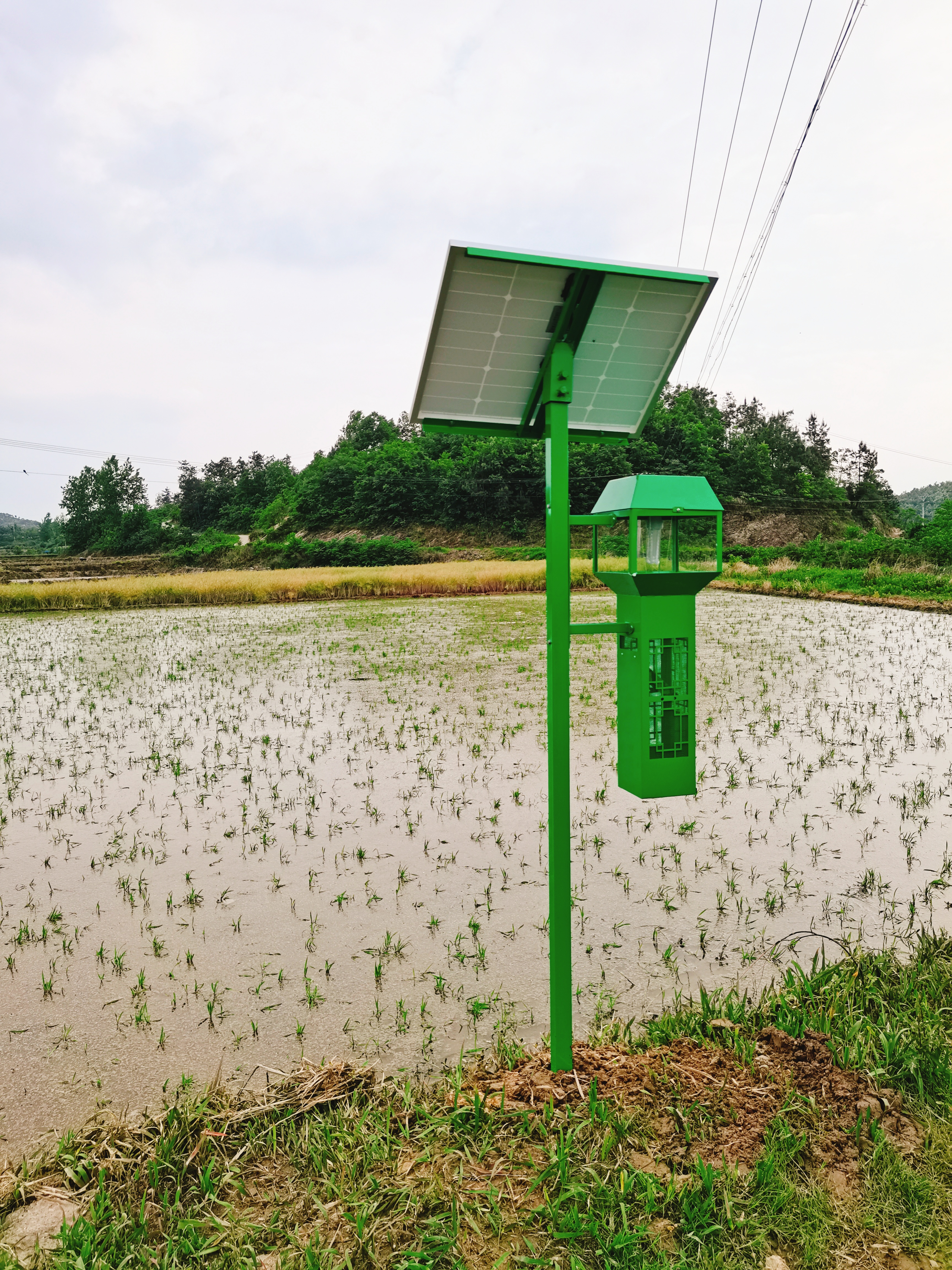 風(fēng)吸式太陽(yáng)能殺蟲燈ZW-FX06 風(fēng)吸式太陽(yáng)能殺蟲燈ZW-FX06