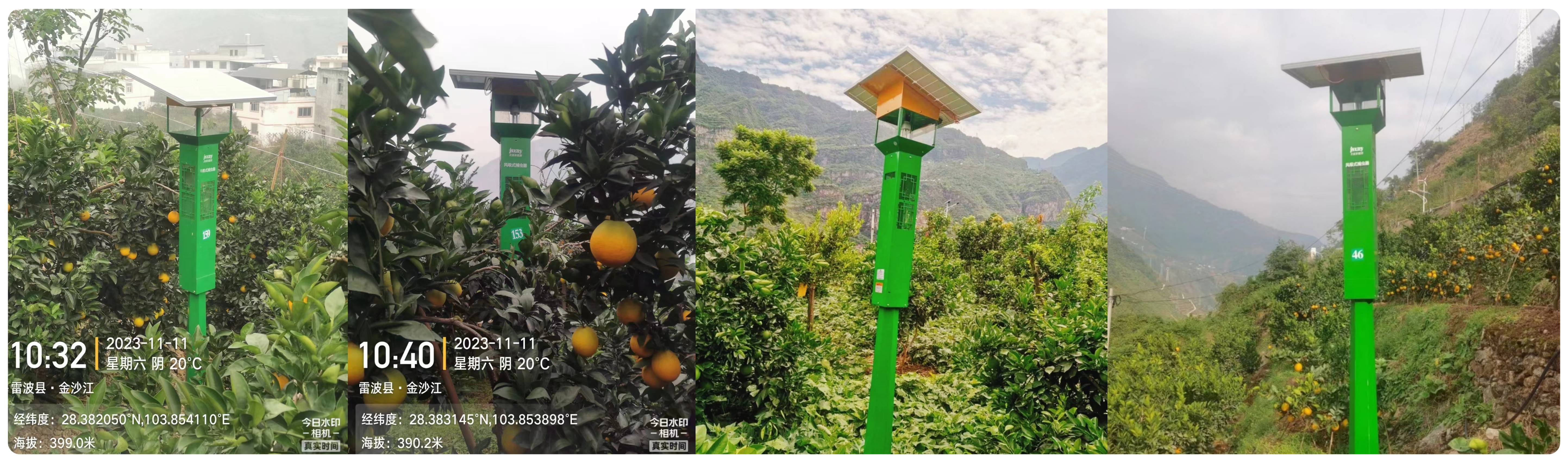 太陽能殺蟲燈安裝在山地果園的必要性