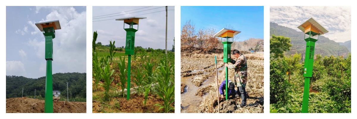 殺蟲燈?，農(nóng)作物的保護神