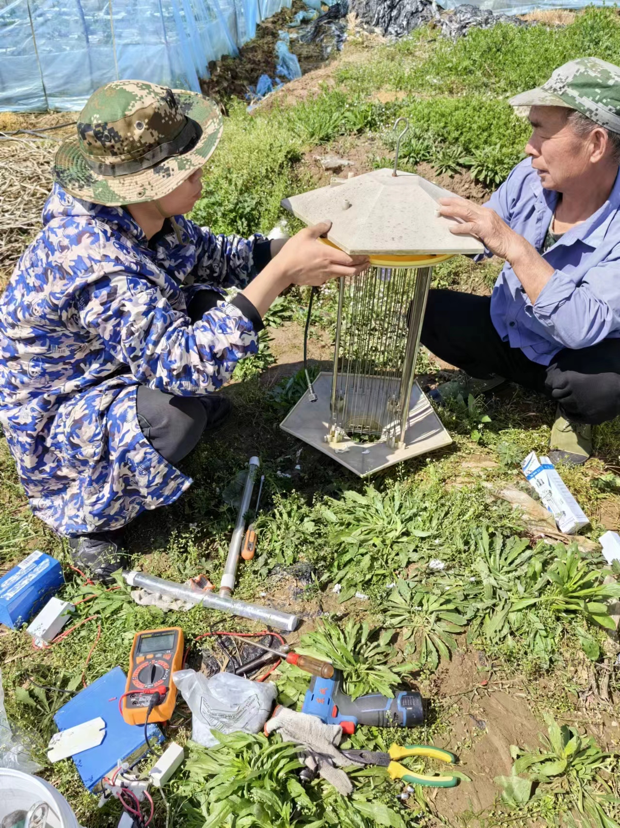 農(nóng)田大四情的奧妙