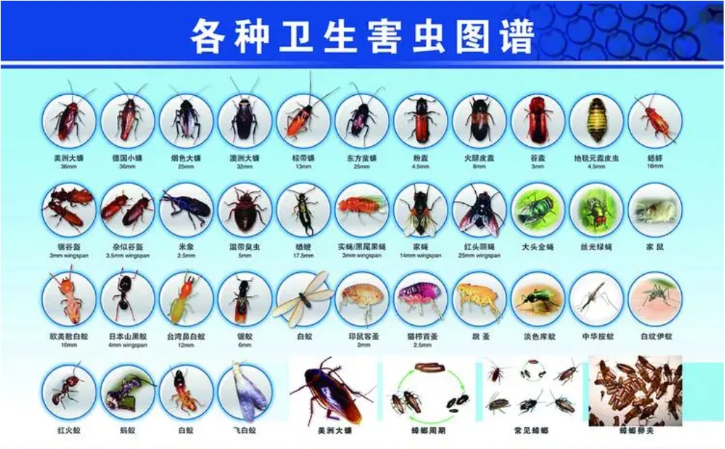 預(yù)防蟲害有效防治措施--太陽能殺蟲燈