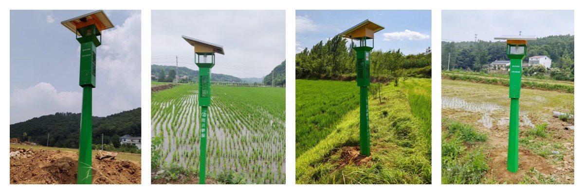 中為科技帶您一起探索風吸式太陽能殺蟲燈