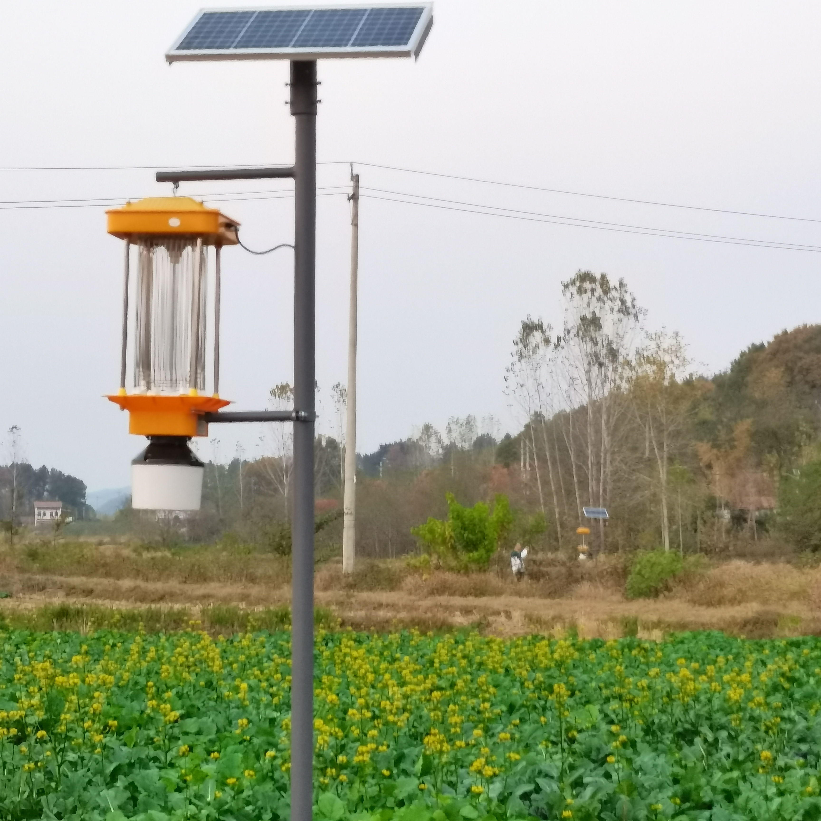 自動(dòng)清蟲殺蟲燈的原理