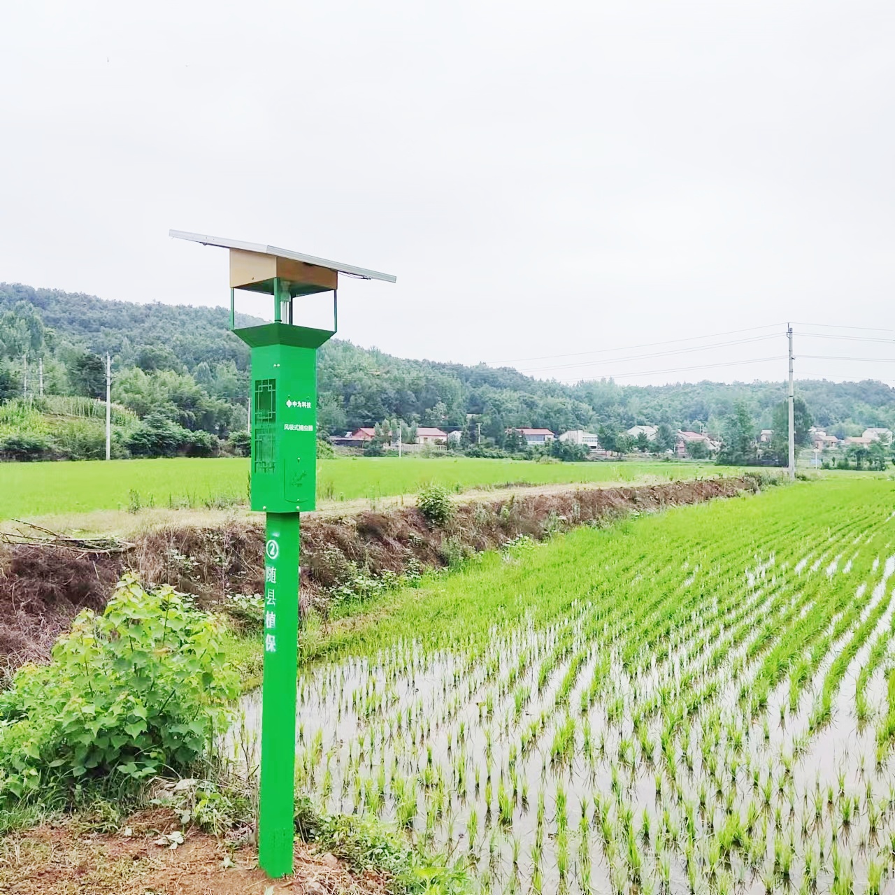 太陽能殺蟲燈有哪些方面的實(shí)用性