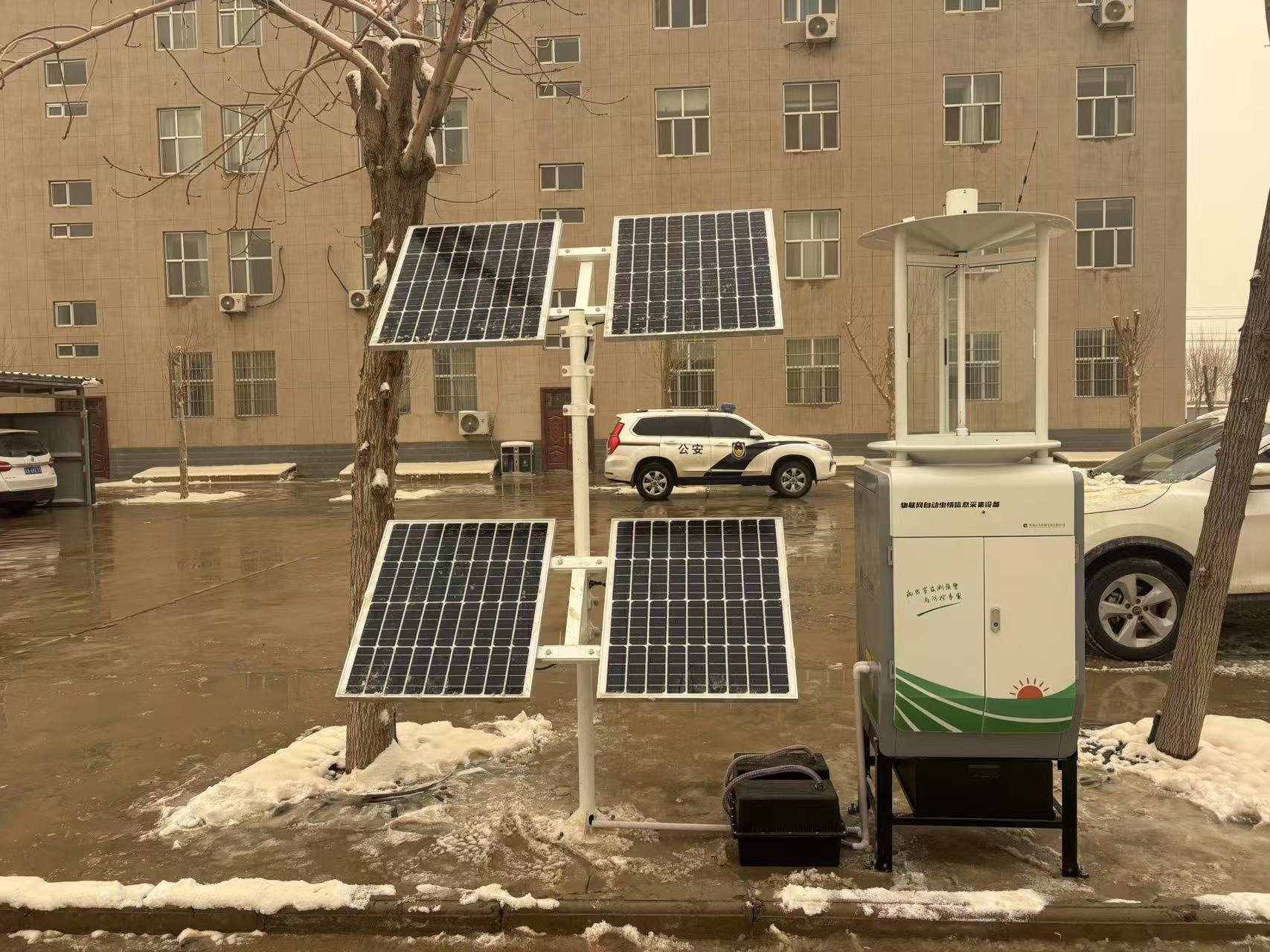 太陽能智能蟲情測報燈設(shè)備