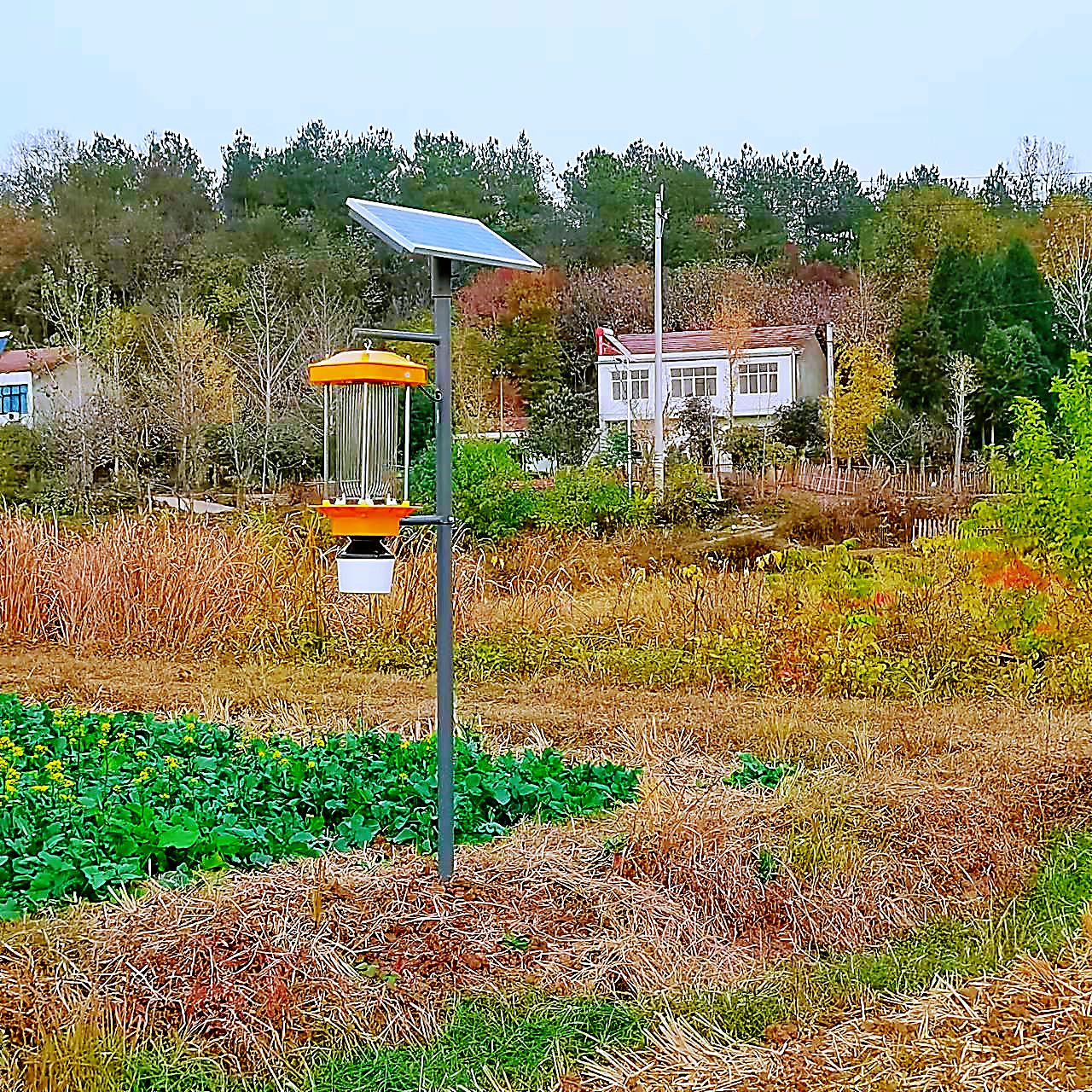 太陽能殺蟲燈在室外效果好的原因