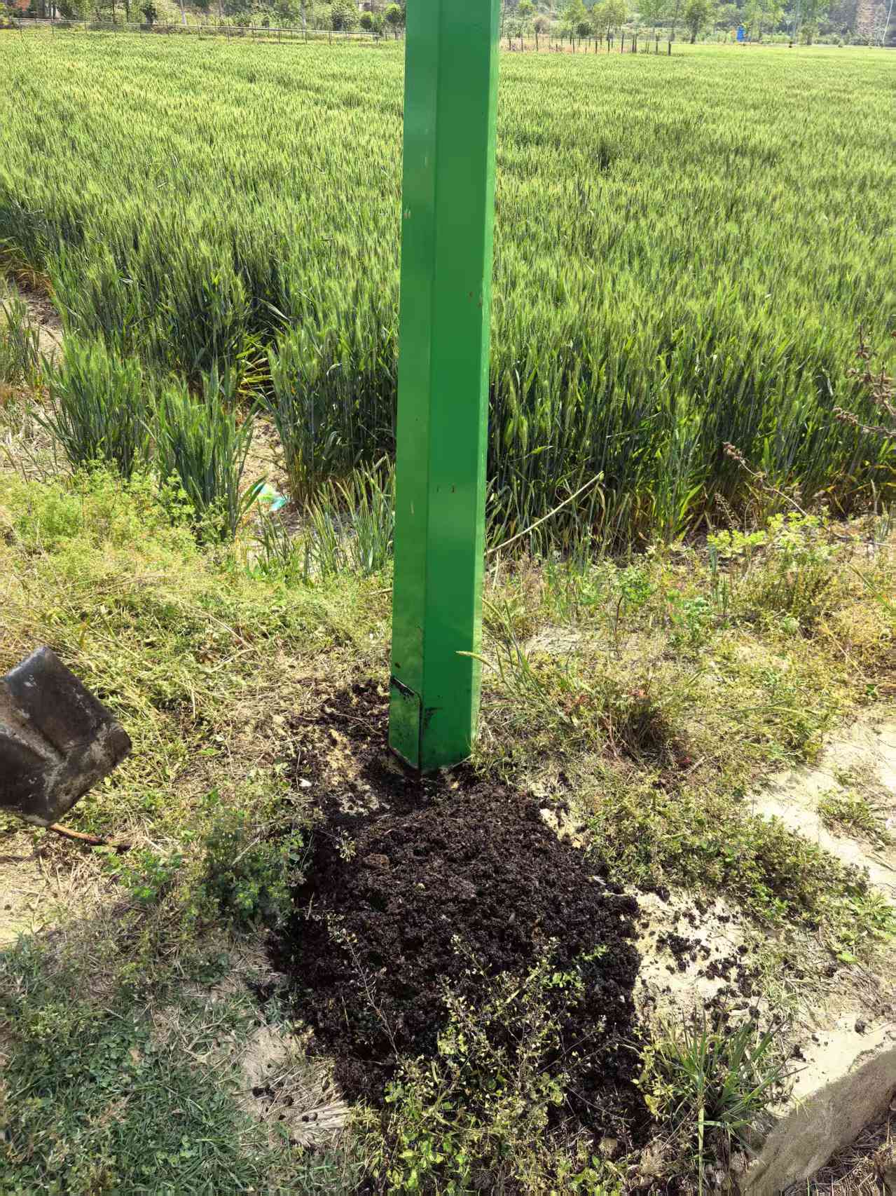 農(nóng)田守護(hù)者-太陽能風(fēng)吸式殺蟲燈